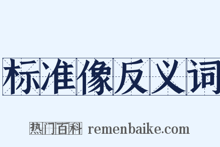 标准像反义词是什么意思的图片